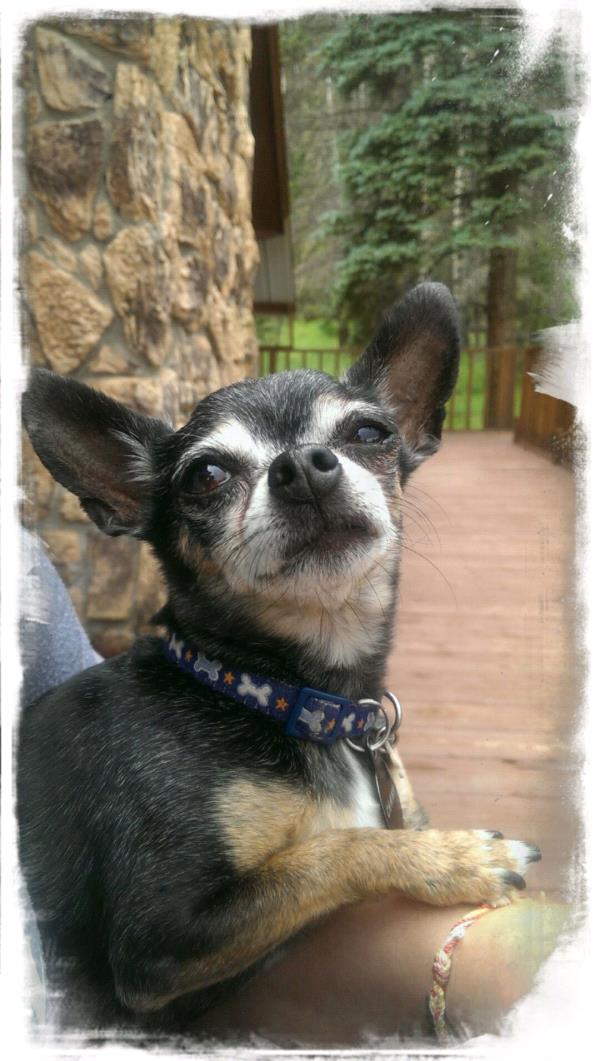 /Images/uploads/Humane Society of Utah/HSUCalendar/entries/1083thumb.jpg
